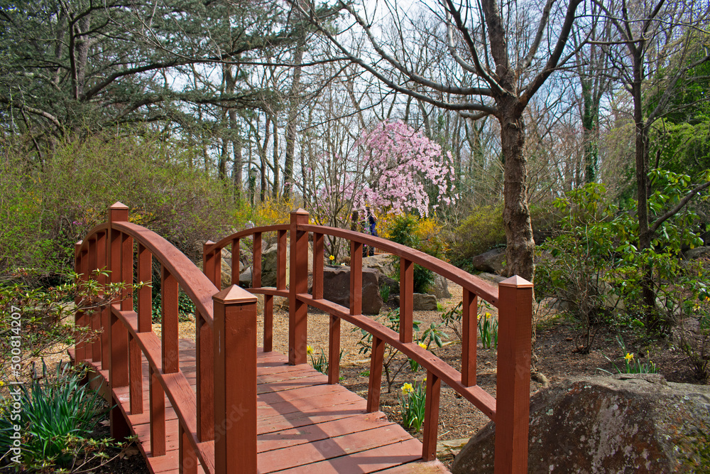 Small wooden bridge in a Japanese styled garden at Sayen Gardens, Hamilton, New Jersey, USA -05