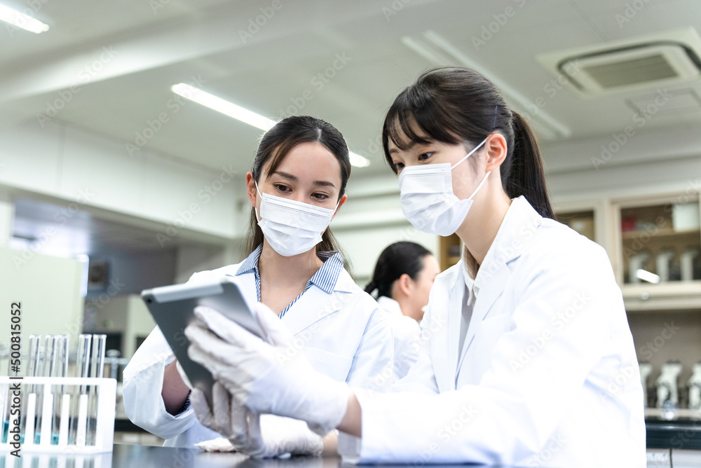 Fototapeta premium 作業をする研究員