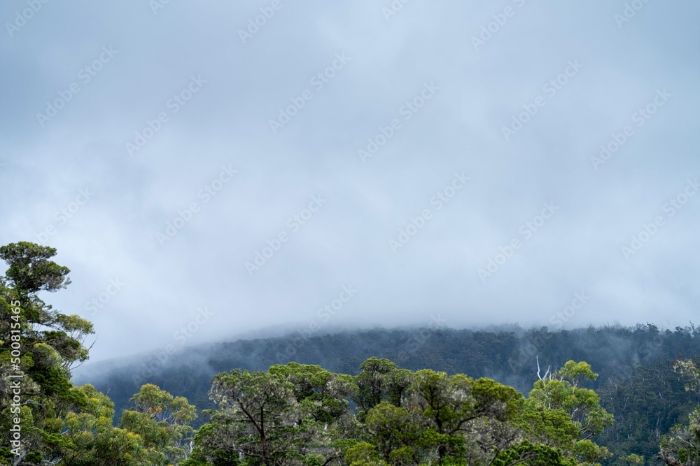 mist over a hill in tasmania, australia.