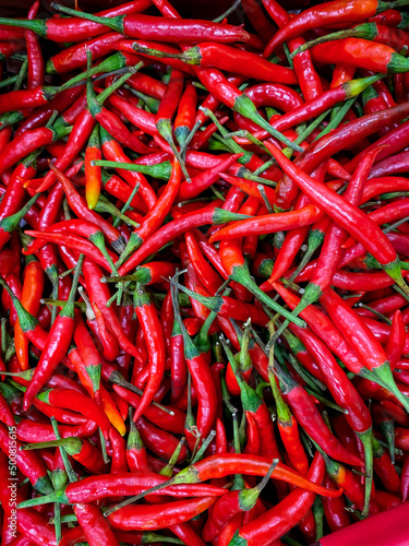 Red chili in the basket prepare for cooking