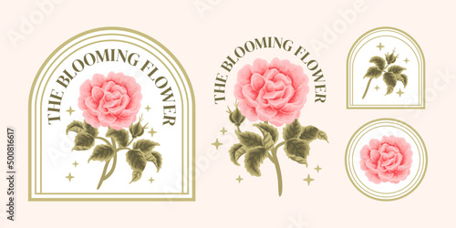 Set of vintage feminine beauty peach pink rose flower, carnation floral logo elements and label vector illustration templates with leaf branch and frame