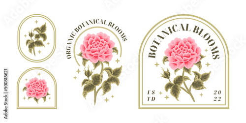 Set of vintage feminine beauty pink rose, carnation floral logo elements and label vector illustration templates with leaf branch and frame