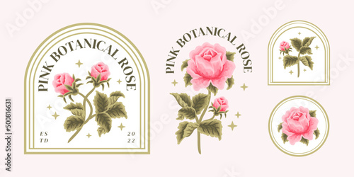 Set of vintage feminine beauty pastel pink rose floral logo elements and label vector illustration templates with leaf branch and frame