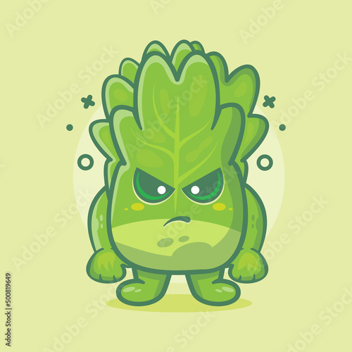 serious lettuce vegetable character mascot with angry expression isolated cartoon in flat style design 