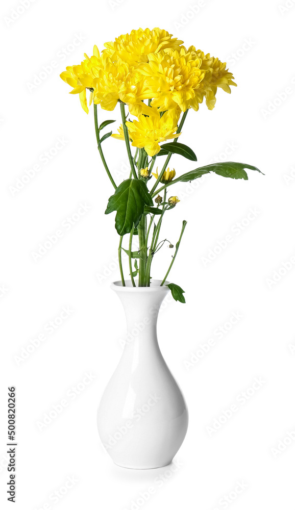Vase of yellow chrysanthemum flowers on white background Vase of yellow chrysanthemum flowers on white background