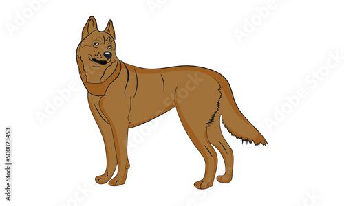 Husky dog illustration vector