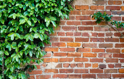 Rustic brick wall texture background. Rich red tones. © CaptureAndCompose