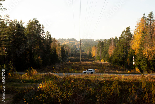 Car ride in autumn forest on sunset