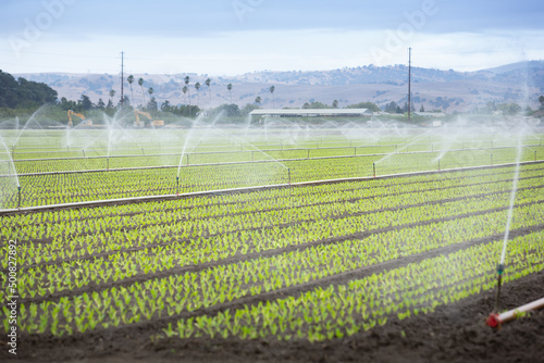 A view of sprinklers watering sprouting agriculture in the farmland of Gilroy, California. photo