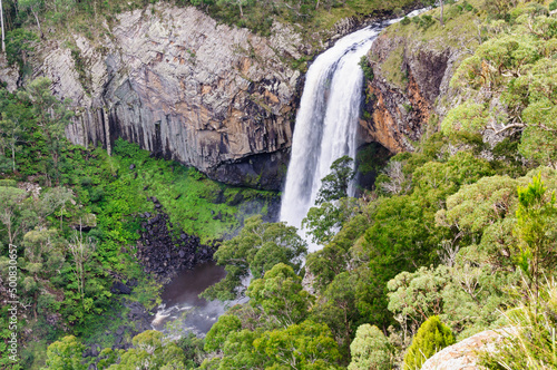 Lower Ebor Falls on the Guy Fawkes River plunges into the gorge - Dorrigo, NSW, Australia photo