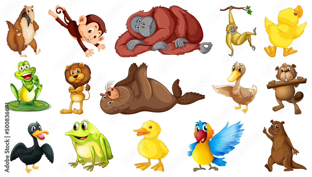 Fototapeta premium Many wild animals on white background