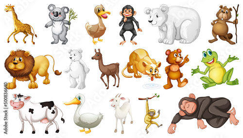 Wild animals on white background