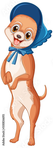 Cute puppy dog on white background