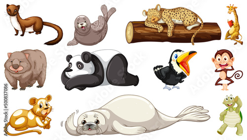 Different wild animals on white background