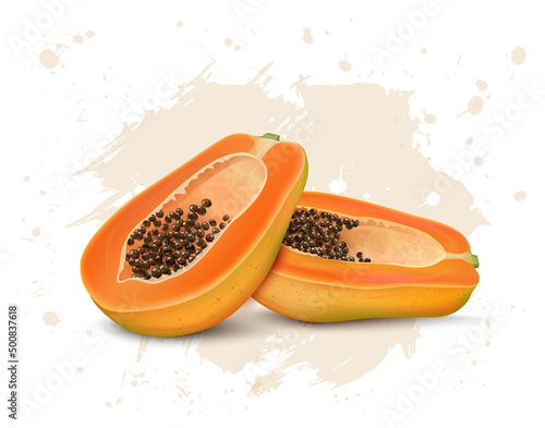 Half pieces of  Fresh Papaya fruit vector illustration isolated on white background