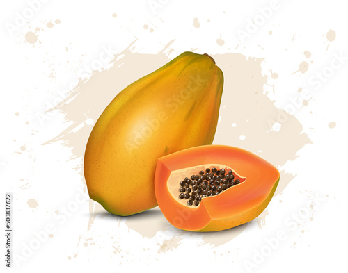 Papaya vector illustration with papaya fruit half piece 