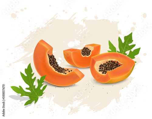 Papaya Half piece vector illustration with papaya slices and green leaves vector illustration