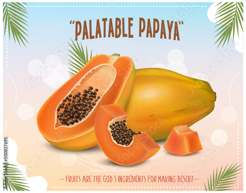 Papaya fruit vector illustration with half piece of papaya fruit and slices