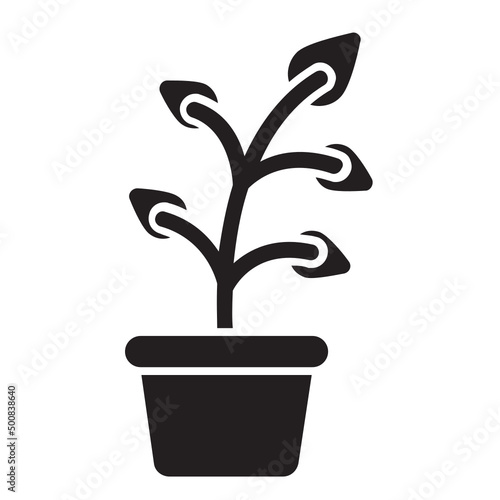 Plant   Spring solid icon.