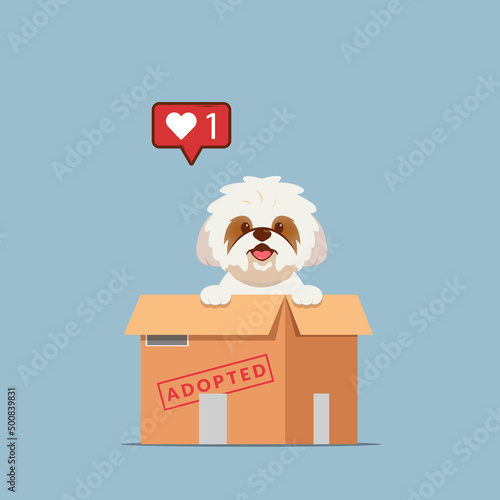 Adopt pet concept illustration. Dog rescue, protection, adoption concept. Flyer, poster template.Cute shih tzu puppy in a box.