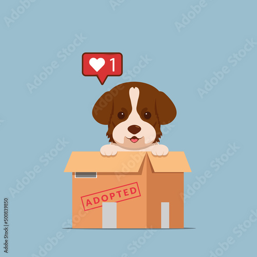 Adopt pet concept illustration. Dog rescue, protection, adoption concept. Flyer, poster template.Cute border collie puppy in a box.