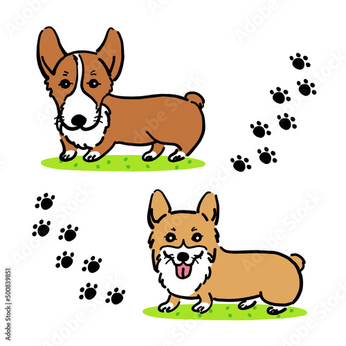 Cute corgi illustration set - vector