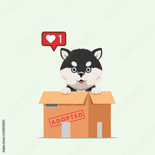 Adopt pet concept illustration. Dog rescue, protection, adoption concept. Flyer, poster template.Cute siberian husky puppy in a box.