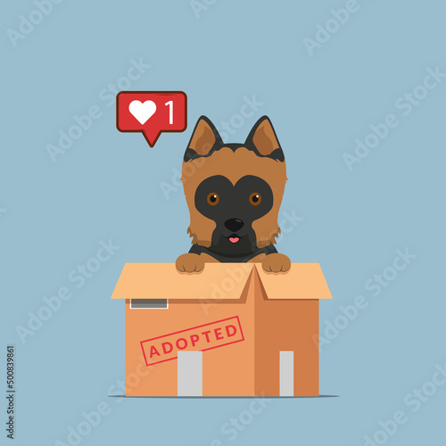 Adopt pet concept illustration. Dog rescue, protection, adoption concept. Flyer, poster template.Cute german shepherd puppy in a box.