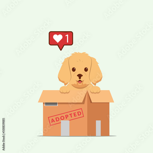 Adopt pet concept illustration. Dog rescue, protection, adoption concept. Flyer, poster template.Cute golden retriever puppy in a box.