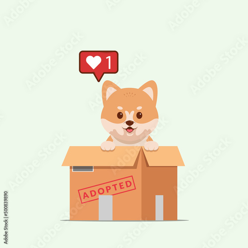 Adopt pet concept illustration. Dog rescue, protection, adoption concept. Flyer, poster template.Cute akita inu puppy in a box.