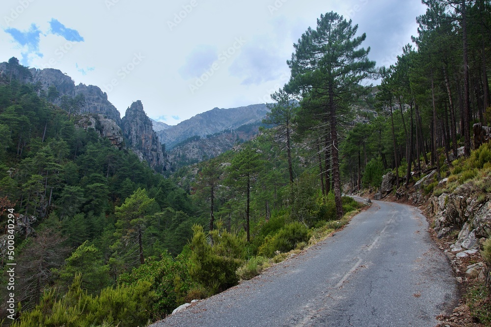 Corsica-view of the road in pass Restonica