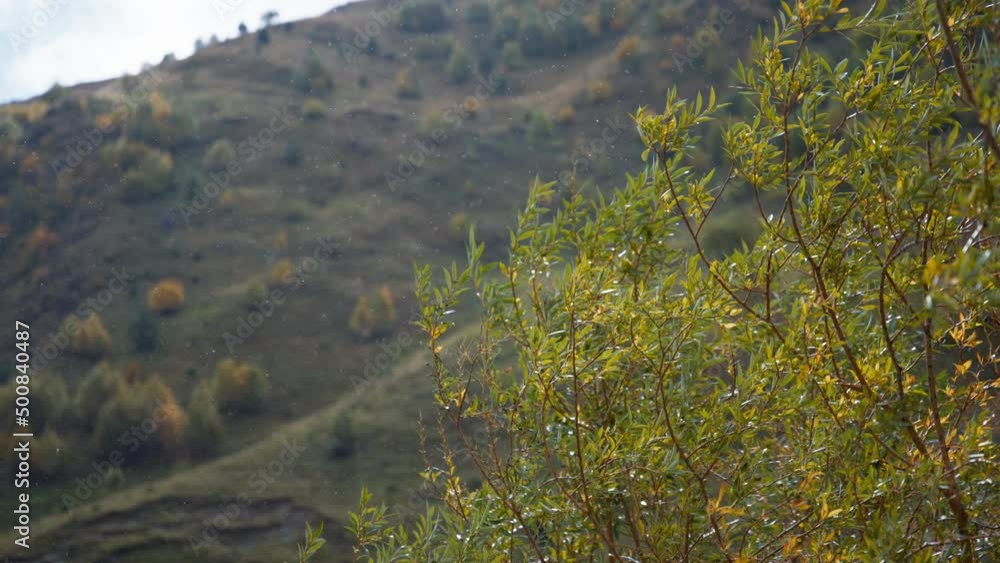 Strong wind and heavy rain falling onto thin tree branches in autumn, strong wind. Slow motion. Strong wind and heavy rain falling onto thin tree branches in autumn, strong wind. Slow motion.
