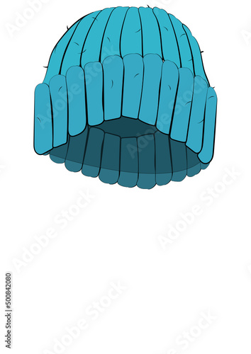 Wollmütze