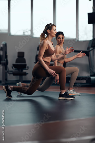 Pretty women working out in a gym. Adult ladies with beautiful shaped bodies.