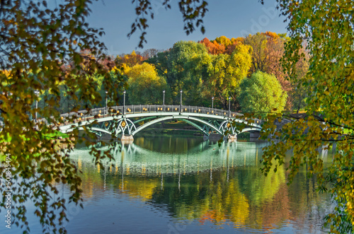 Bridge in autumn Park in the morning