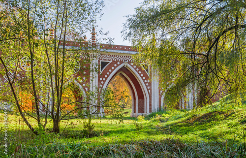 A large Gothic bridge in the park © Alena