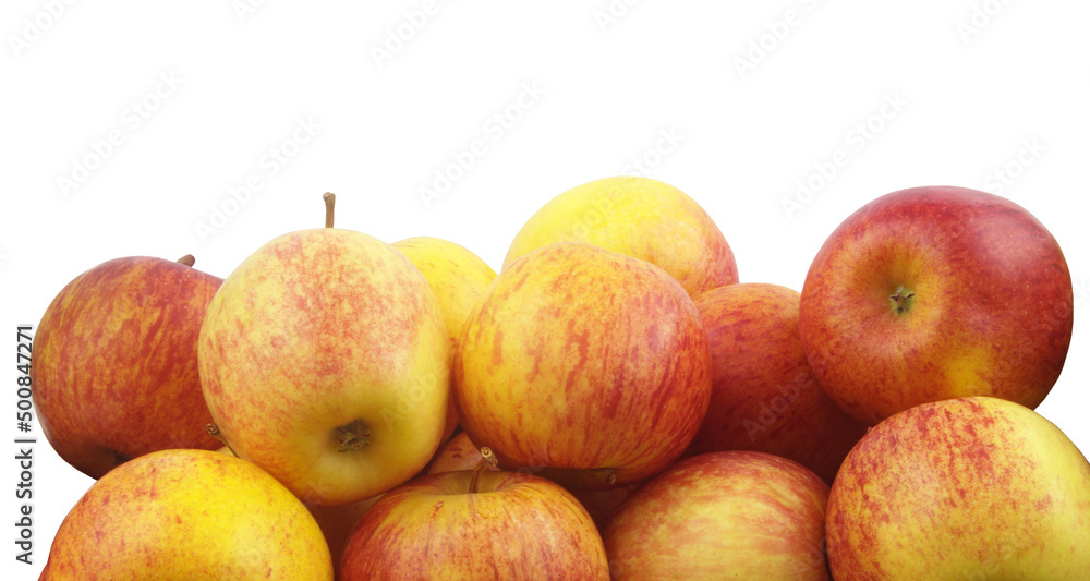 Many apples isolated on white background with copy space for text Many apples isolated on white background with copy space for text