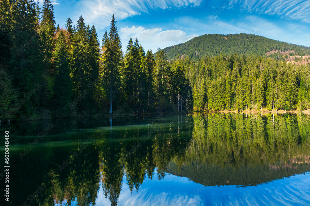 Obraz premium landscape with mountain lake in summer. forest reflection in the water. scenic travel background of synevyr, ukraine. beautiful nature scenery. green outdoor environment