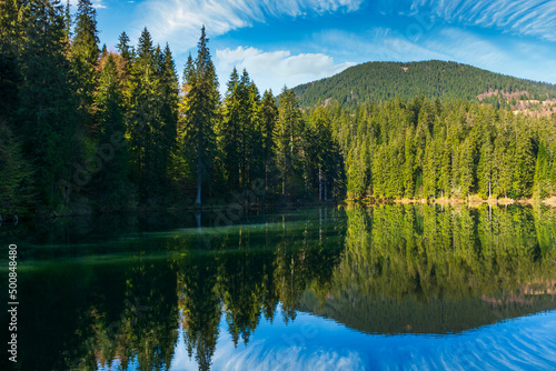 Fototapeta Naklejka Na Ścianę i Meble -  landscape with mountain lake in summer. forest reflection in the water. scenic travel background of synevyr, ukraine. beautiful nature scenery. green outdoor environment