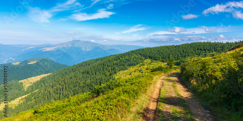 mountain landscape with hiking trail. green forested hills on a summer morning. scenery with a footpath along the slope. ridge in the distance beneath a blue sky with some clouds. wide angle view