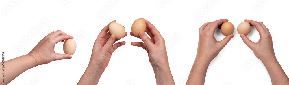 Hand Holding Raw Chicken Egg Isolated on White Background Hand Holding Raw Chicken Egg Isolated on White Background