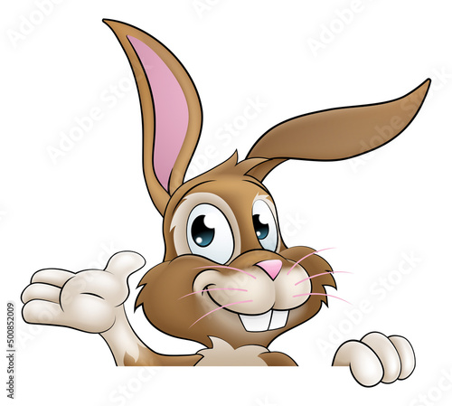 Easter Bunny Rabbit Cartoon...