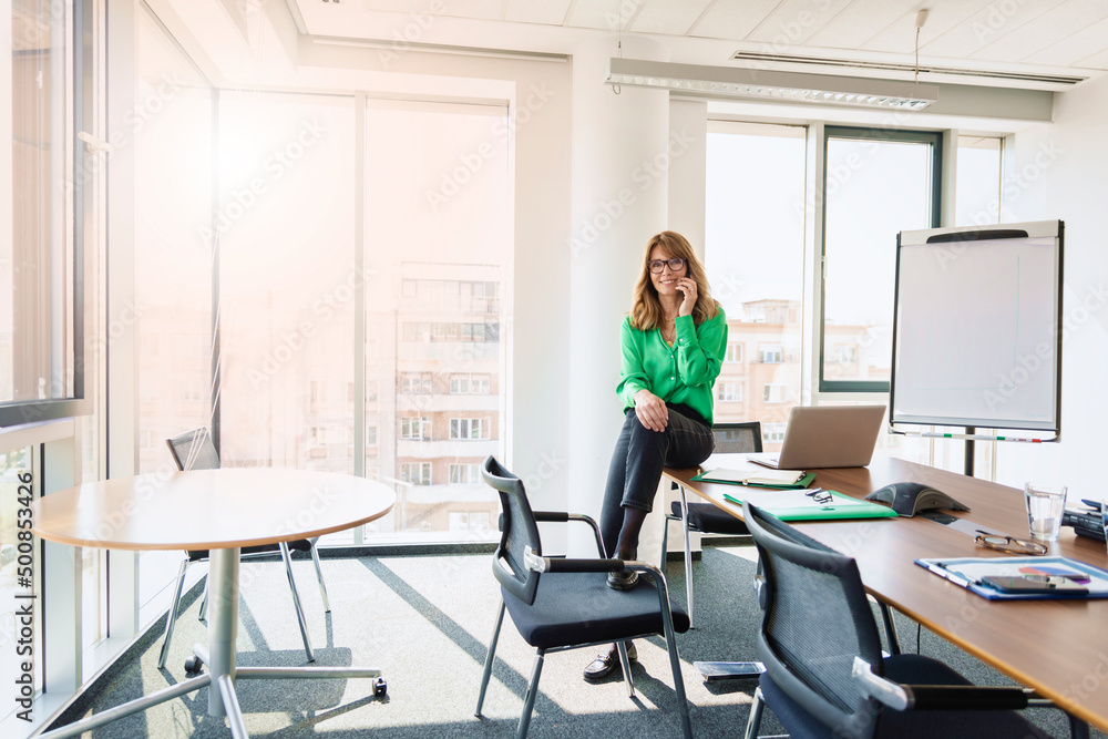 Attractive mature businesswoman making a call while sitting at the office and working Attractive mature businesswoman making a call while sitting at the office and working