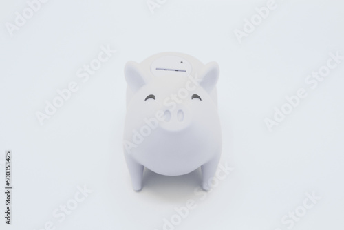 Piggy bank on white background. Finance  saving money concept.