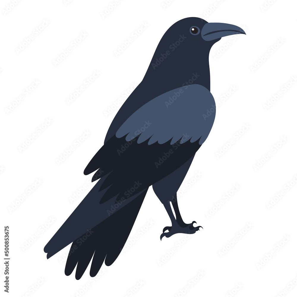 Obraz premium crows flat design, isolated on white background