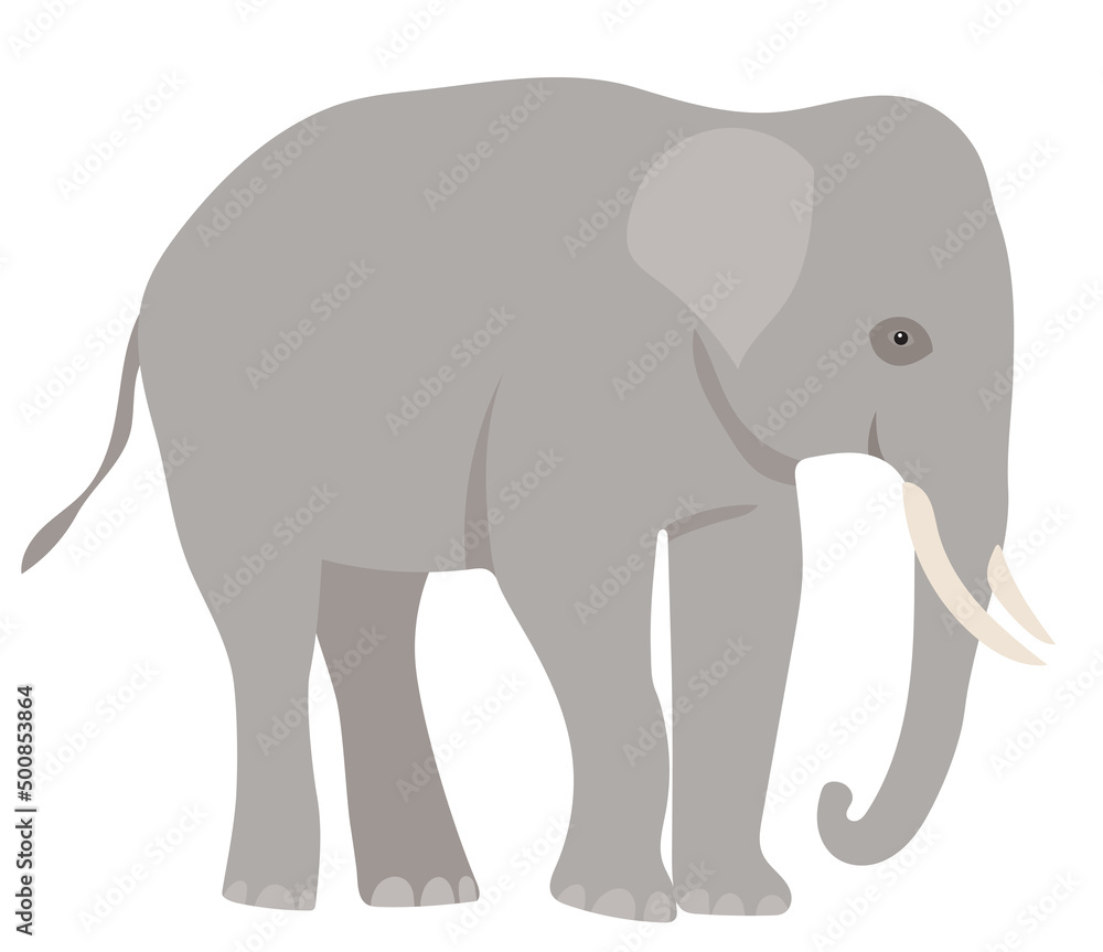Obraz premium elephant flat design, isolated on white background, vector
