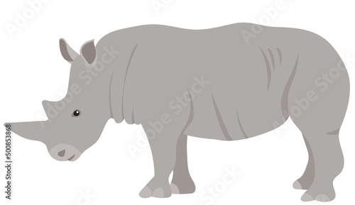 rhinoceros flat design  isolated on white background  vector