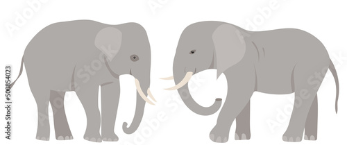 elephant flat design  isolated on white background