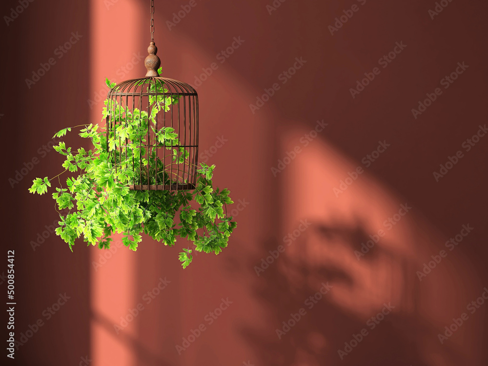 Tableau sur aluminium avec 3D render, A beautiful Air plants decorated in an antique bird cage with morning sunlight showing leaves and window frame shadow on an empty red maroon wall. Abstract, Copy space, Hanging, Background. #500854412