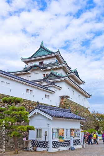 Wallpaper Mural  Wakayama Castle in Wakayama city, Japan. Torontodigital.ca